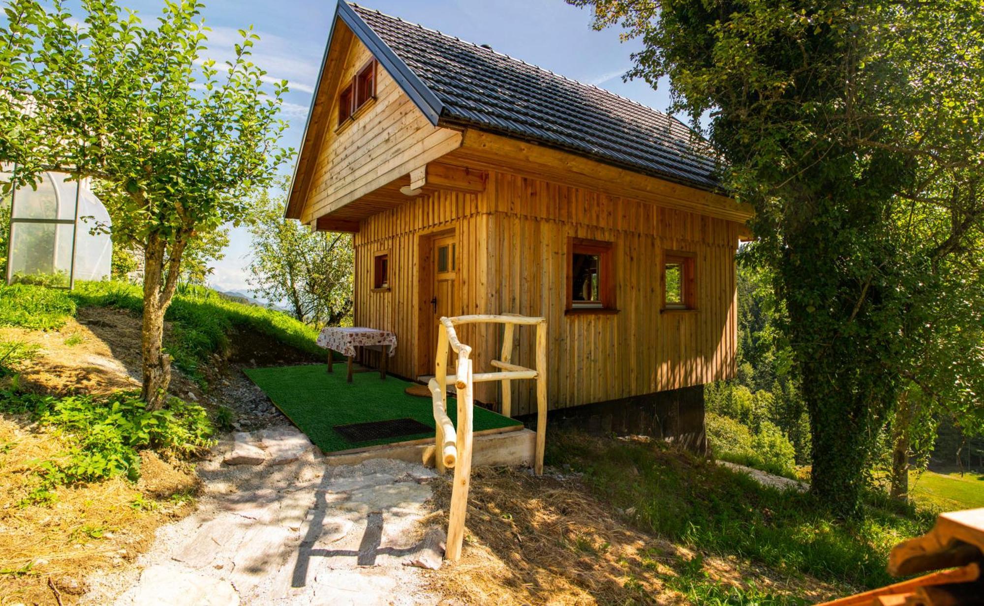 Wooden Chalet - Homestead Vrhovc Zelezniki Exteriör bild